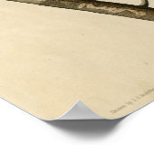 Yellow-Billed Cuckoo Die Vögel von America Audubon Poster (Ecke)