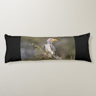 Yellow billed hornbill seitenschläferkissen