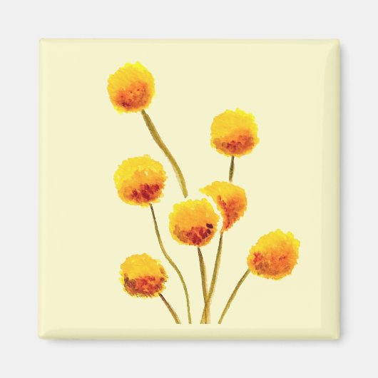 Yellow Billy Button gebürtige australische Blume Magnet (Vorne)