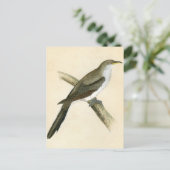 Yellow Billy Cuckoo Postkarte (Stehend Vorderseite)