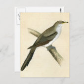 Yellow Billy Cuckoo Postkarte (Vorne/Hinten)