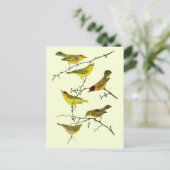 Yellow birds postkarte (Stehend Vorderseite)