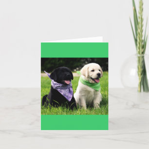 Yellow & Black Labrador Retriever Puppy Note Card Karte