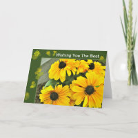 Yellow Black Mit Augen Susan Blooms