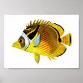 Yellow Black Tropical Fish Art Print No. 4 Poster (Vorne)