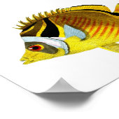 Yellow Black Tropical Fish Art Print No. 4 Poster (Ecke)