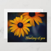 Yellow Blackeyed Susan Garden Blume Vermisst Postkarte (Vorne/Hinten)