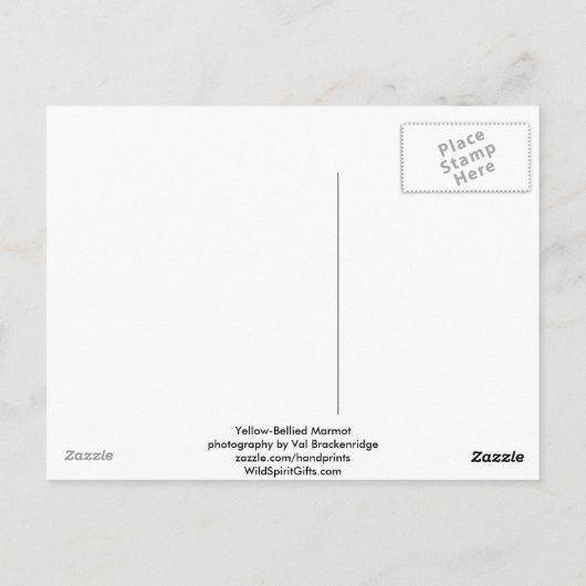 Yellow-Blied Marmot-Geschenke Postkarte (Rückseite)