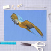 Yellow Blue Macaw Seidenpapier (Handwerk)