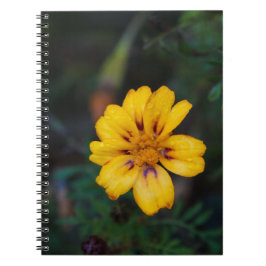 Yellow Blume Spiral Notebook Notizblock
