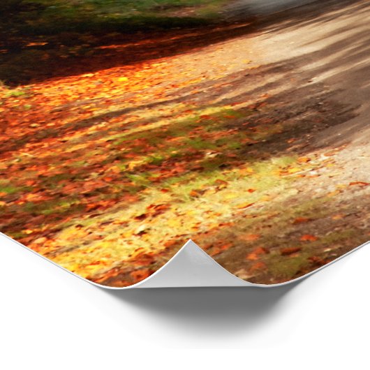 Yellow Bog Kilcullen Poster (Ecke)