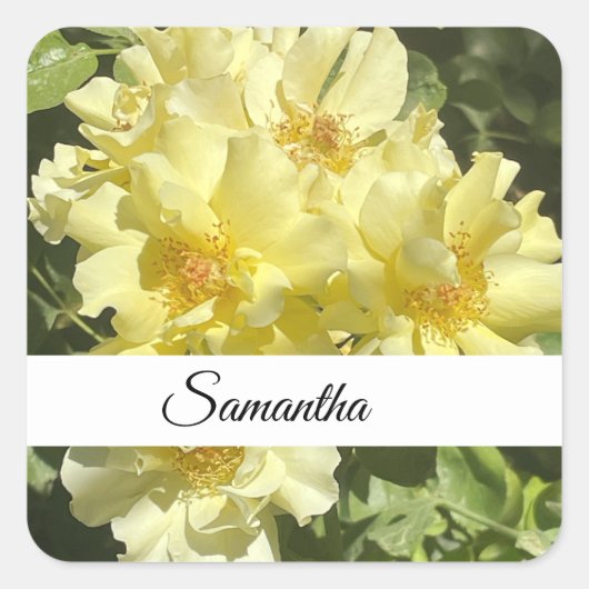 Yellow Botanical Flowers Quadratischer Aufkleber (Vorderseite)