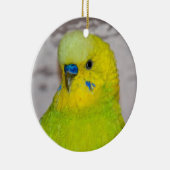 Yellow Budgie Ornament (Rechts)