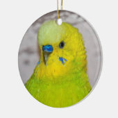 Yellow Budgie Ornament (Links)