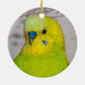 Yellow Budgie Ornament (Hinten)