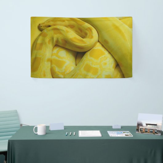 Yellow Burmese Python Banner (Messeveranstaltung)