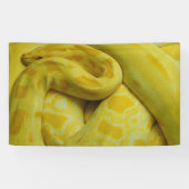 Yellow Burmese Python Banner (Horizontal)