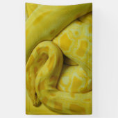Yellow Burmese Python Banner (Vertikal)