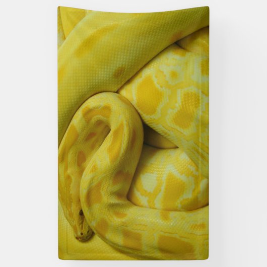 Yellow Burmese Python Banner (Vertikal)