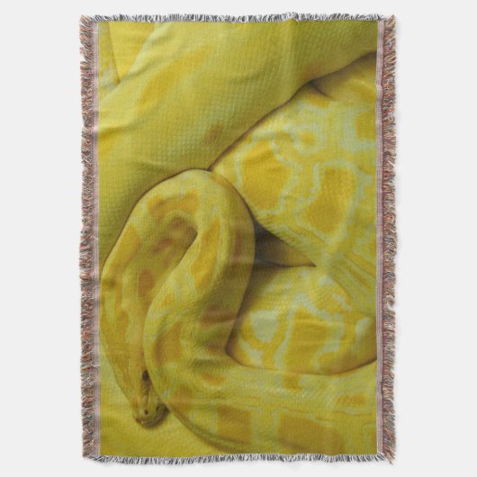 Yellow Burmese Python Decke (Vorderseite Vertikal)
