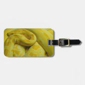 Yellow Burmese Python Gepäckanhänger (Vorderseite horizontal)