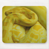 Yellow Burmese Python Mousepad (Vorne)