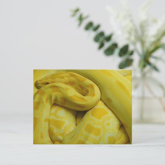 Yellow Burmese Python Postkarte (Stehend Vorderseite)