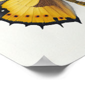 Yellow Butterfly Art Print Poster (Ecke)