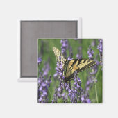 Yellow Butterfly auf Lavendel Magnet (Vorderseite/Rückseite)