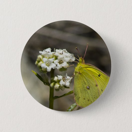 Yellow Butterfly Button (Vorderseite)