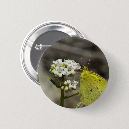 Yellow Butterfly Button (Vorne & Hinten)