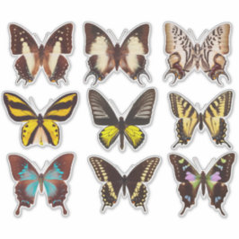 Yellow Butterfly Collection 14" Vinyl Sticker