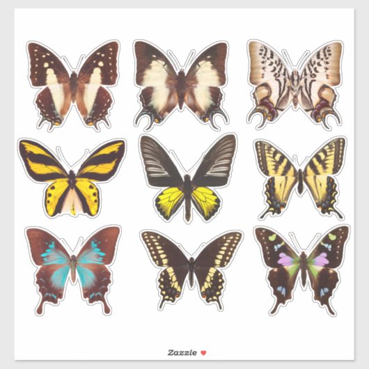 Yellow Butterfly Collection 14" Vinyl Sticker (Blatt)