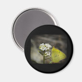 Yellow Butterfly Magnet (Vorderseite/Rückseite)