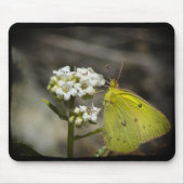 Yellow Butterfly Mousepad (Vorne)