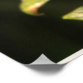 Yellow Butterfly Poster (Ecke)