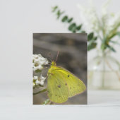 Yellow Butterfly Postkarte (Stehend Vorderseite)
