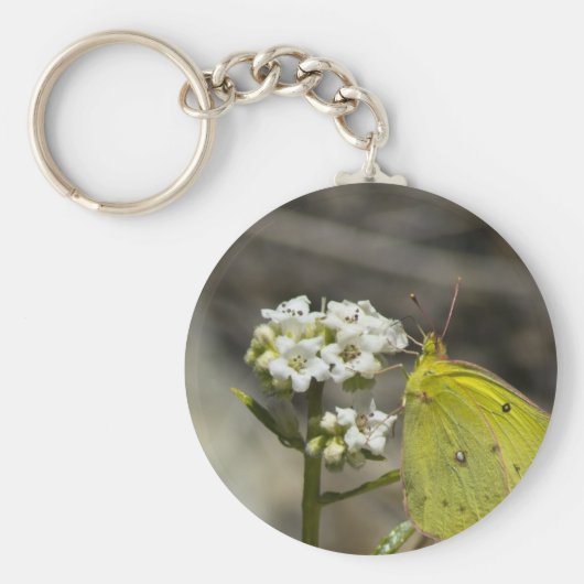 Yellow Butterfly Schlüsselanhänger (Vorne)