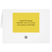 Yellow Butterfly Scripture Card Nummern 6:25 (Rückseite Horizontal)