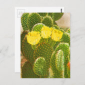 YELLOW CACTUS-BLUME POSTKARTE (Vorne/Hinten)