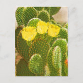 YELLOW CACTUS-BLUME POSTKARTE (Vorderseite)