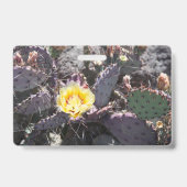 Yellow cactus flower in spring ausweis (Rückseite)