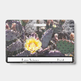 Yellow cactus flower in spring ausweis