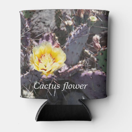 Yellow cactus flower in spring dosenkühler (Vorderseite)