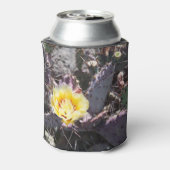 Yellow cactus flower in spring dosenkühler (Kanne Rückseite)