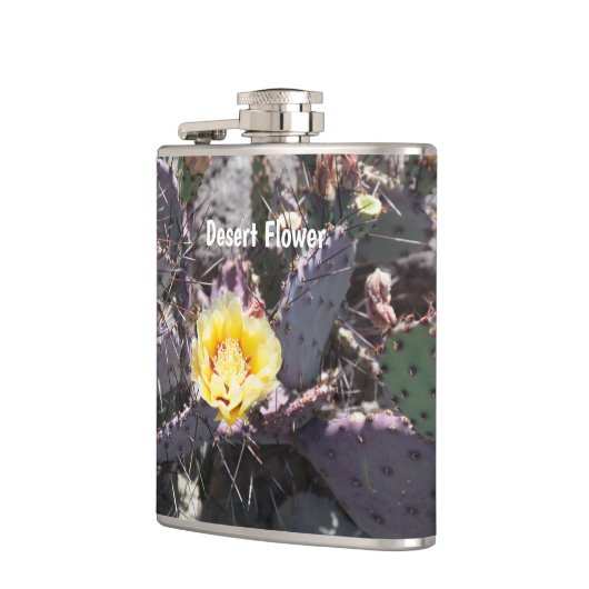 Yellow cactus flower in spring flachmann (Links)