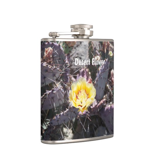 Yellow cactus flower in spring flachmann (Rechts)