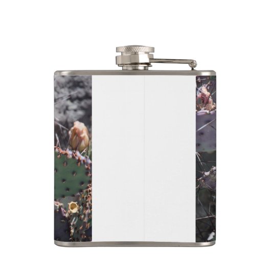 Yellow cactus flower in spring flachmann (Rückseite)