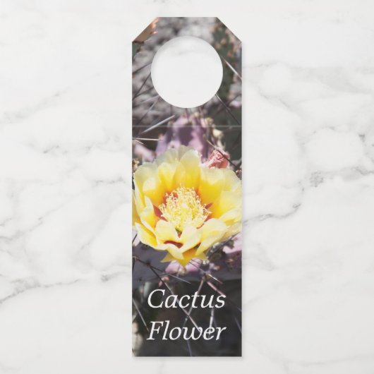 Yellow cactus flower in spring flaschenanhänger (Vorderseite)