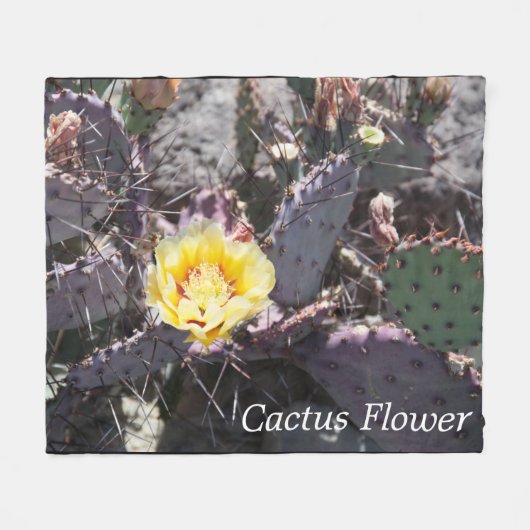 Yellow cactus flower in spring fleecedecke (Vorderseite (Horizontal))